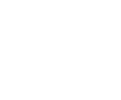 Tours and Travels Amsterdam