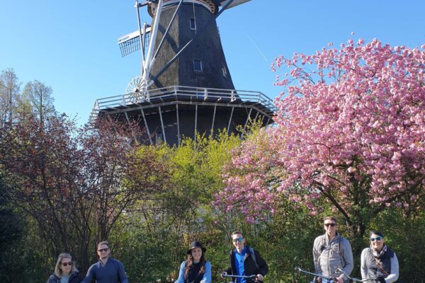 1. Windmill